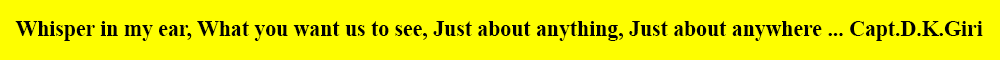 bengaluru detectives logo